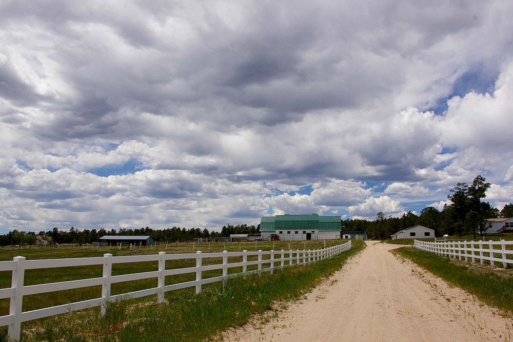 Why Choose Pine Run Ranch? See What Residents Are Saying About!