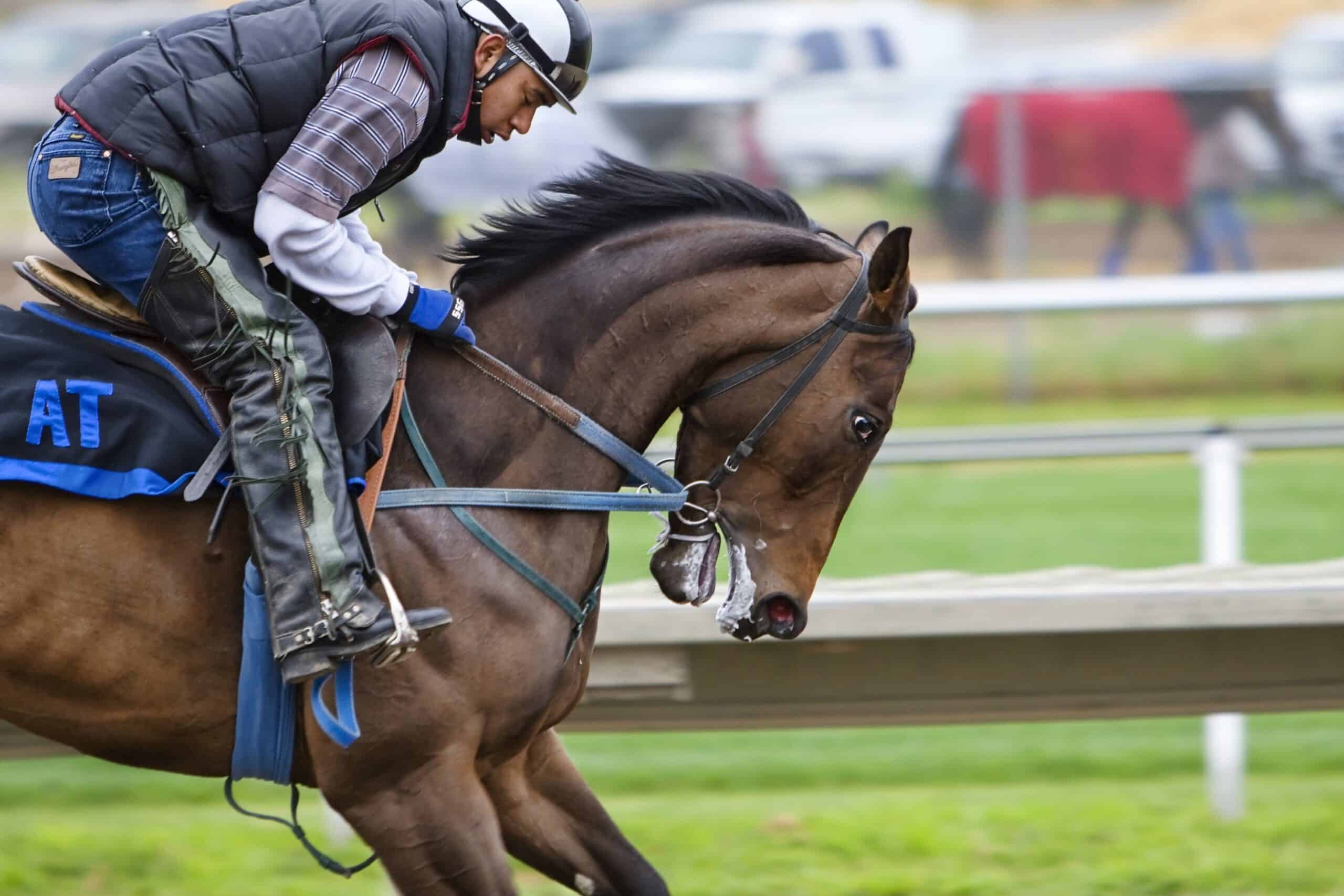 Need Yonkers Racing Results? Your Quick Guide to Winning Horses.