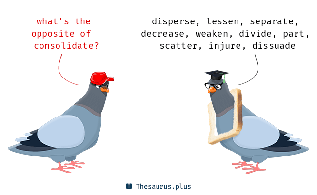 Beyond Consolidate Antonym: Basic Words Explained