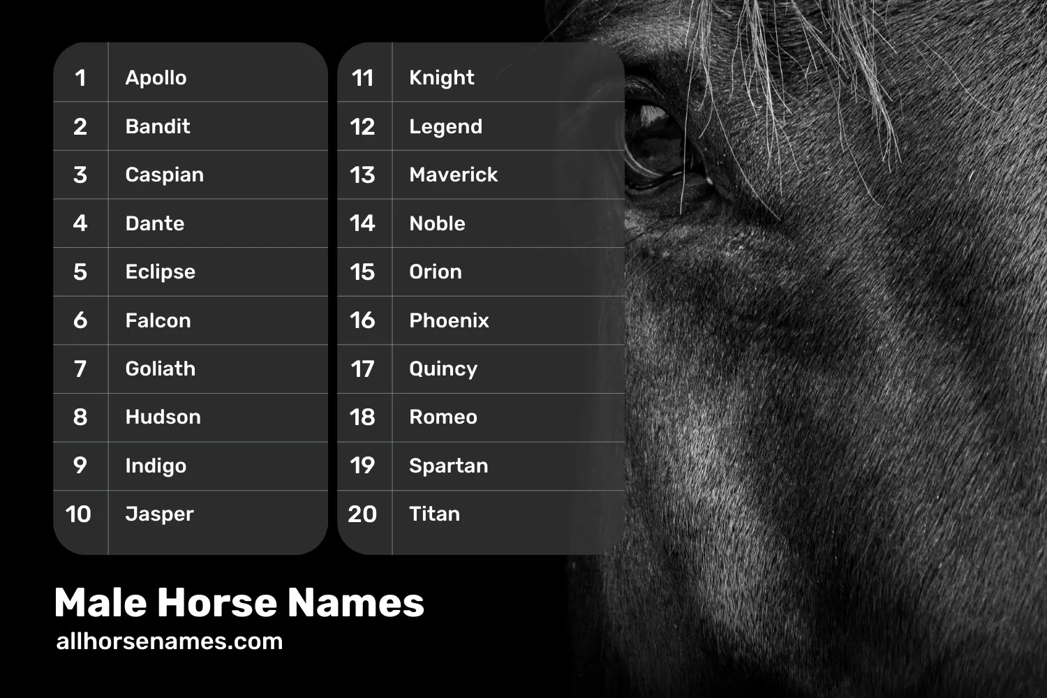 Struggling to name your horse? what are some good horse names.