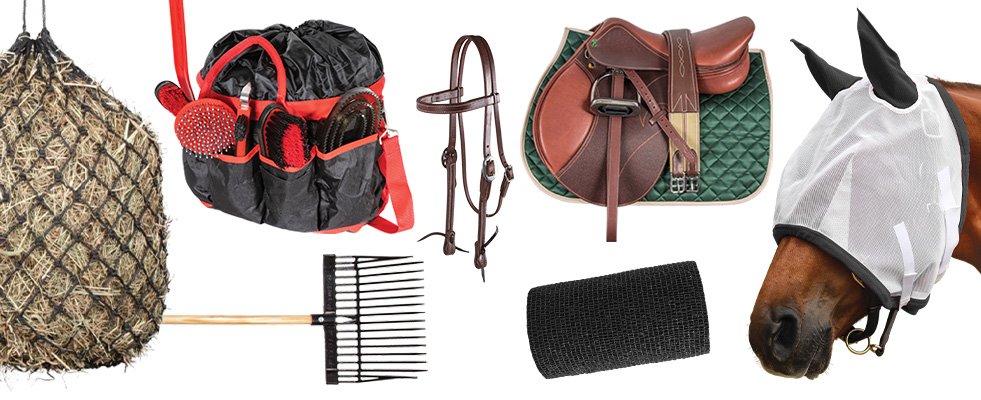 Need quality equin supplies? Find the best gear and food for your horse here.