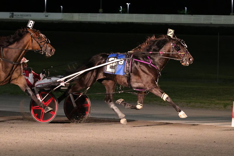 Need Yonkers Racing Results? Your Quick Guide to Winning Horses.