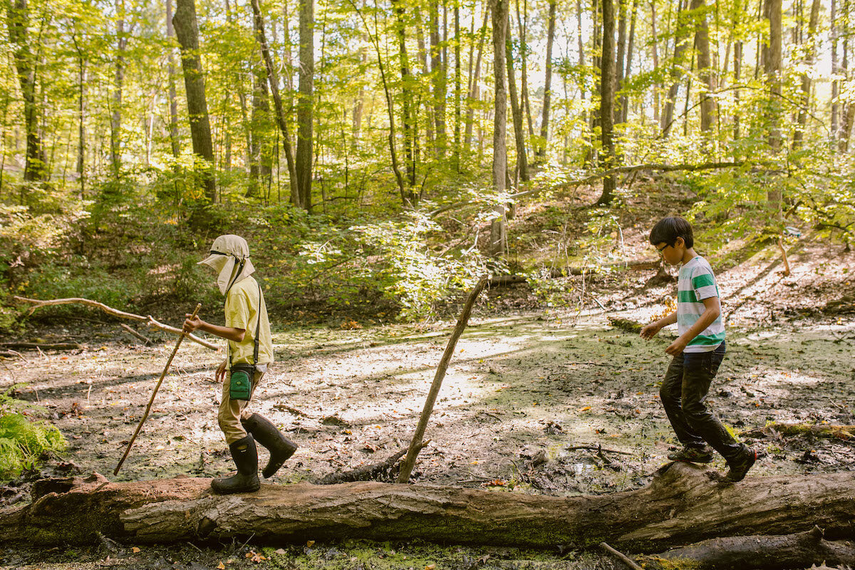 Cultivate an Adventurous Spirit: A Beginners Guide to Excitement.