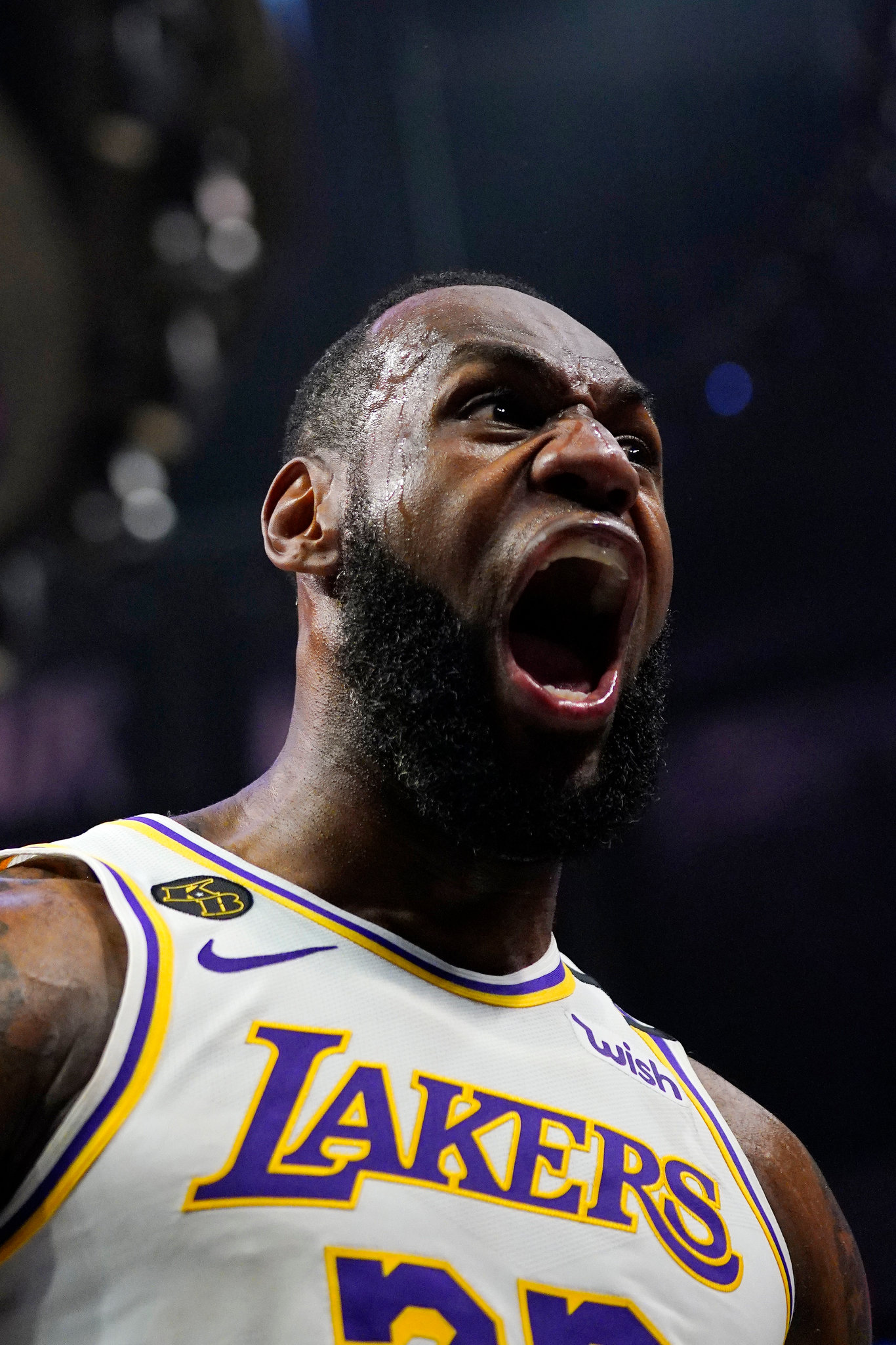 LeBron James This Is My Life: Get the Inside Scoop on the NBA Superstar!