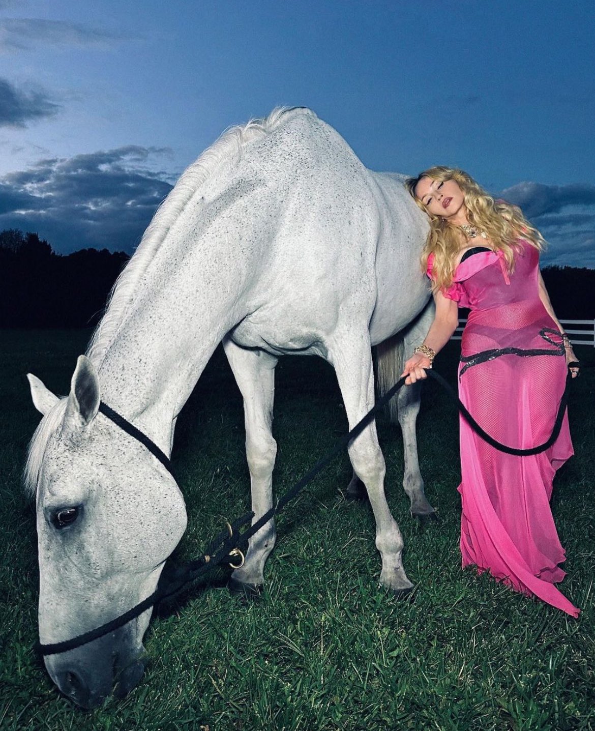 Madonna and horse: The surprising bond revealed now!