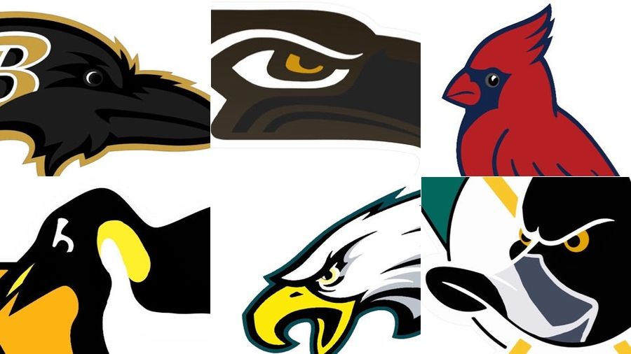 Find Your Team: A Complete Guide to NFL Bird Logos.