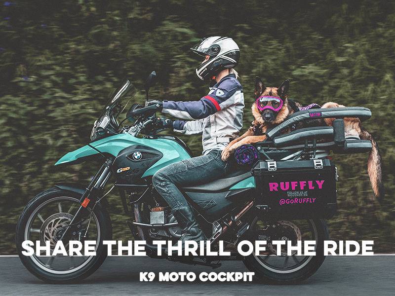 Get a Motorcycle Dog Seat: Take Your Dog on Adventures!