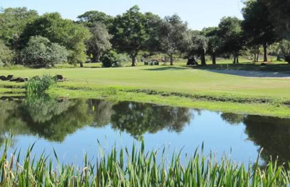 Playing the Tomoka Oaks Golf Course? (Here are tips for a great game)