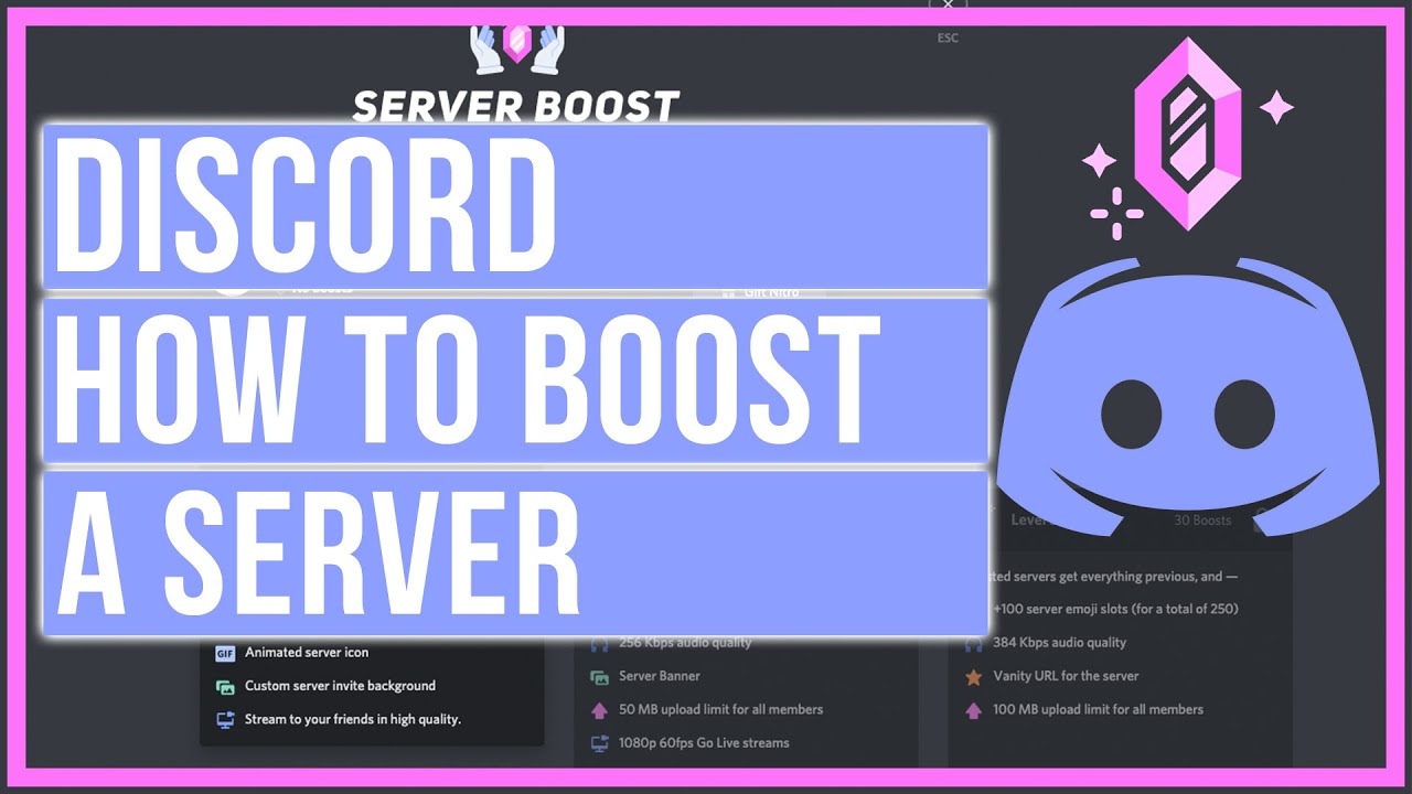 Discord Viewbot: How to Boost Your Server (Quick Tips)