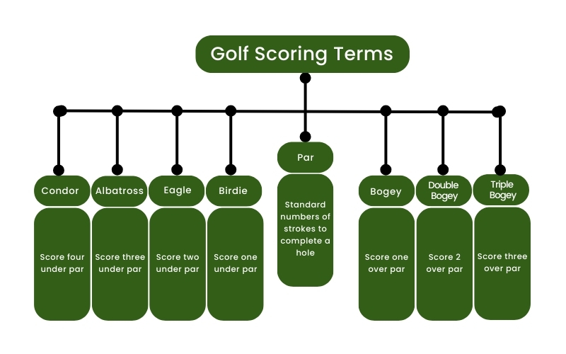 Eagle Birdie Par Golf: What They Mean & How to Achieve Them.