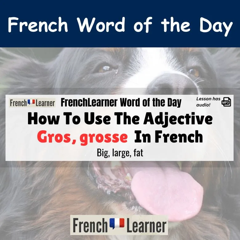 French gros: Everything You Need to Know in Simple Terms
