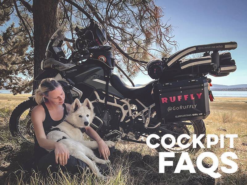 Get a Motorcycle Dog Seat: Take Your Dog on Adventures!