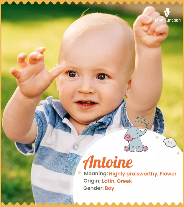 Want to know what does Antoine mean? (Learn the history and true meaning behind this name)