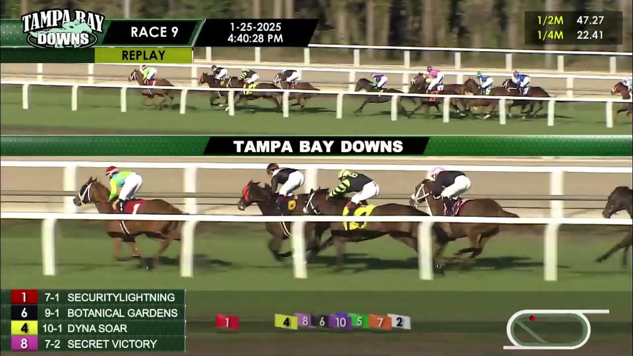 How can you access Tampa Bay Downs live streaming? Discover the easiest ways to watch the horse races from anywhere online.