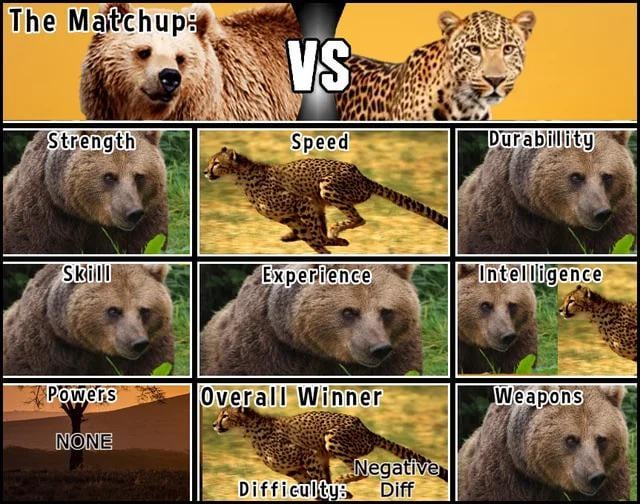 Tiger vs Grizzly: Comparing Hunting Styles and Combat