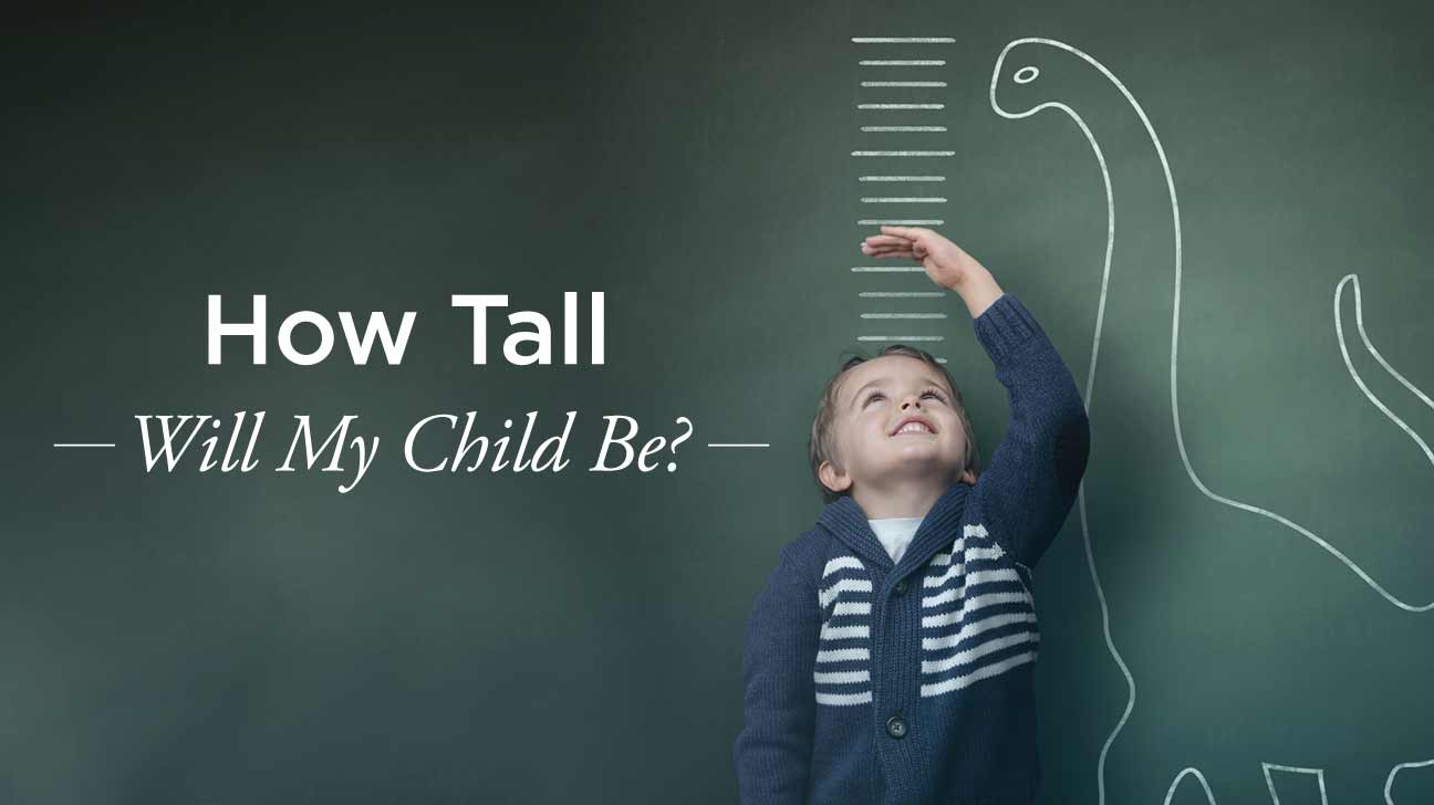 Need to know how tall is smart school boy 9? Get the latest accurate height information very easily.