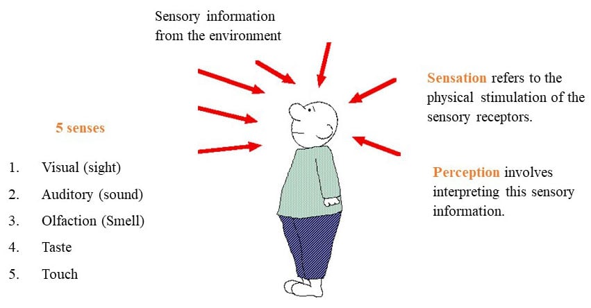 James Gibson Model: Is This a Useful Theory?