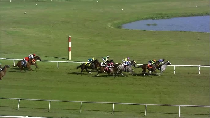 How can you access Tampa Bay Downs live streaming? Discover the easiest ways to watch the horse races from anywhere online.
