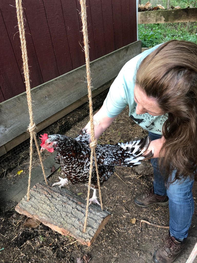 Chicken Swing DIY: What You Need to Know