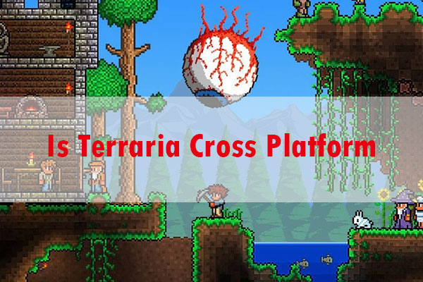 Is Terraria cross platform Xbox PC possible? Find out the straight answer for playing with friends now.