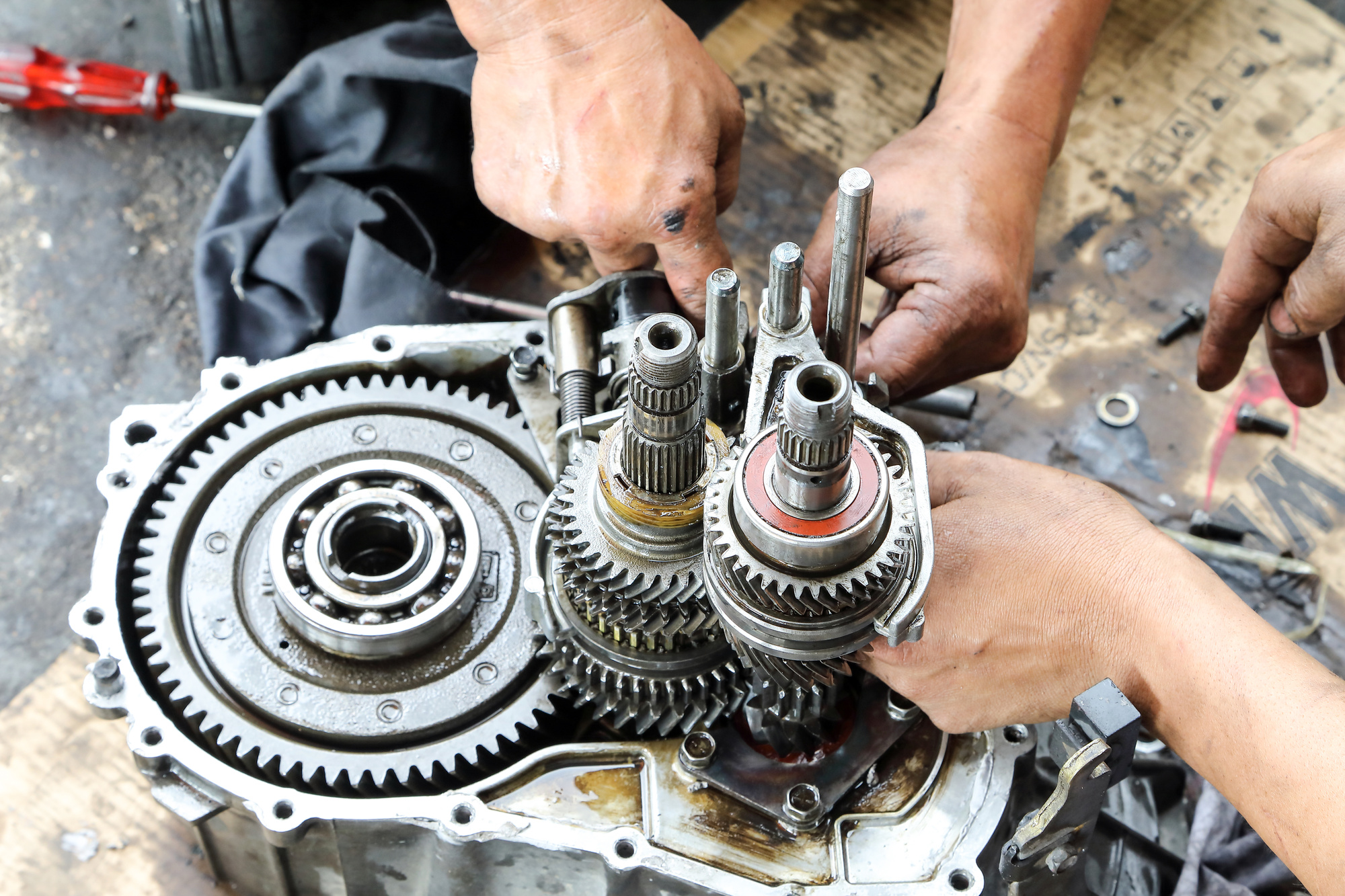 Having ff transmission problems lately? Learn about the most common issues and easy fixes now.