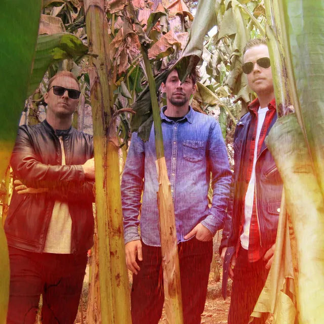 What is Banda Jaguar? Learn all about their unique sound and captivating music story.