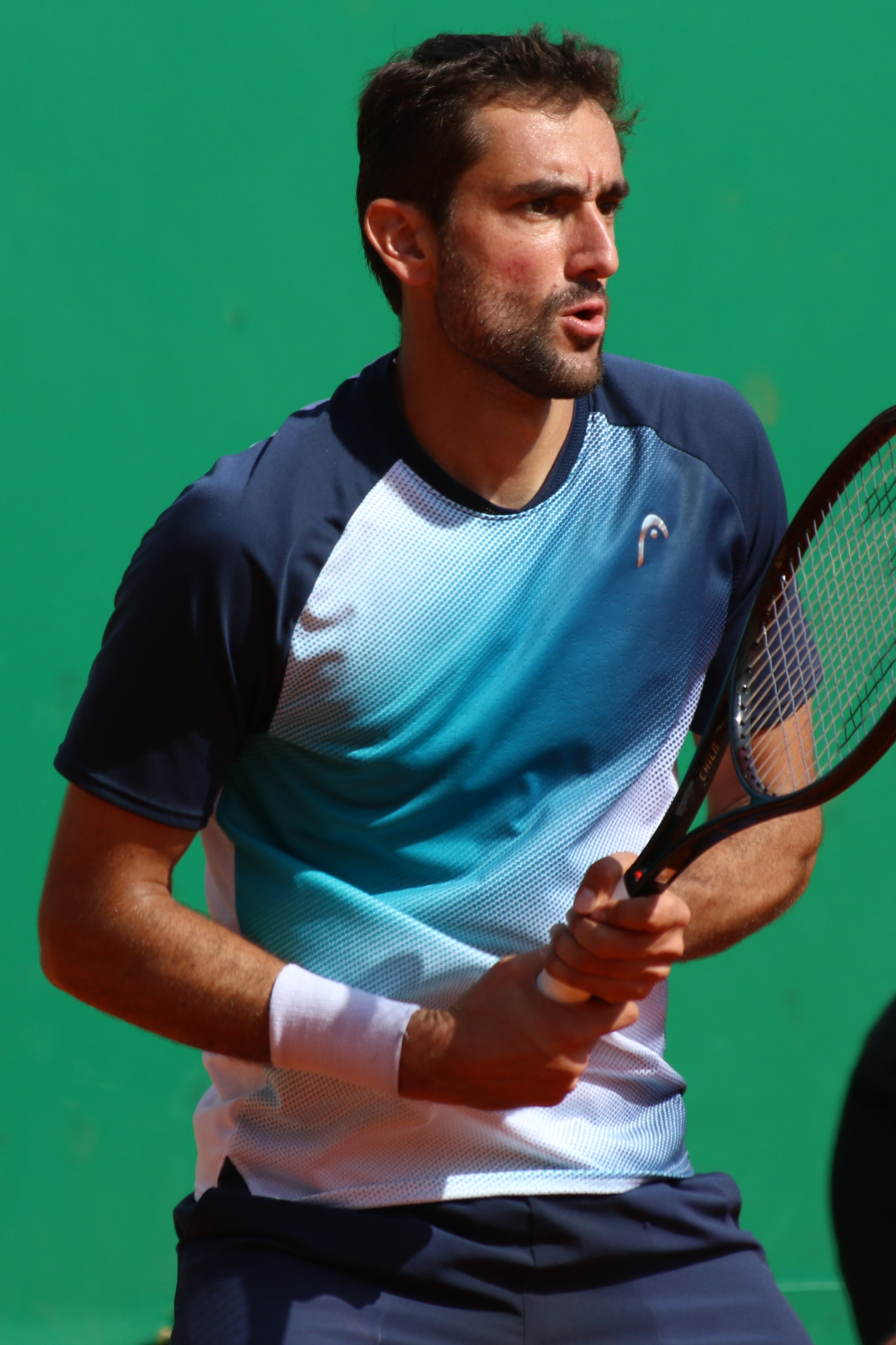 Best croatian tennis players male: What are their biggest wins? (See their Grand Slam titles and stats)