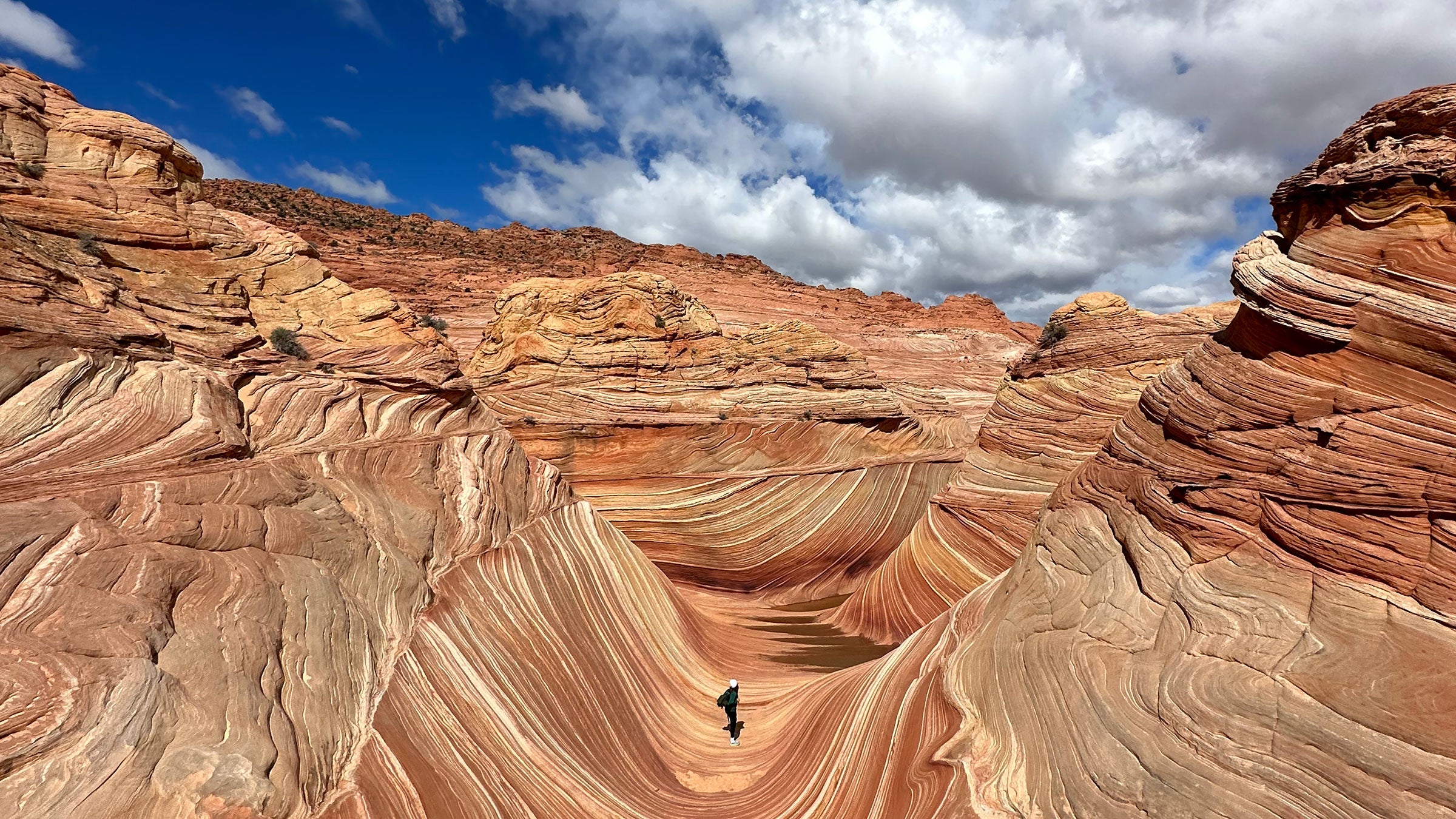 Looking for Tail Racing spots? We list the best places to enjoy this exciting adventure.