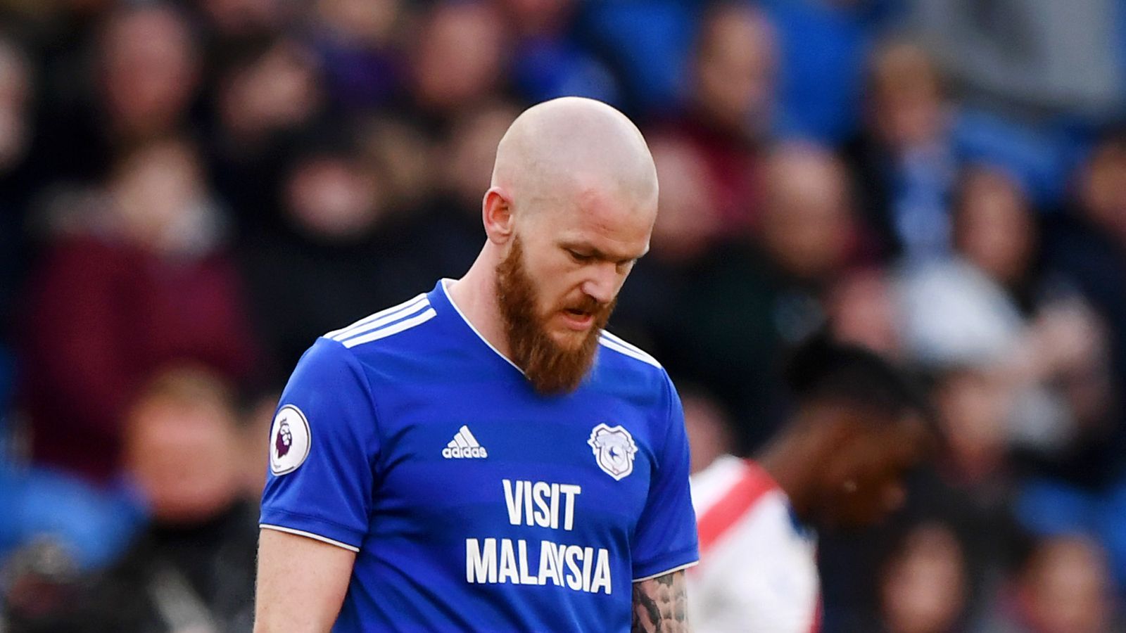 What Was it Like for Cardiff City in the Premier League? Recalling Their Stints and Main Challenges.