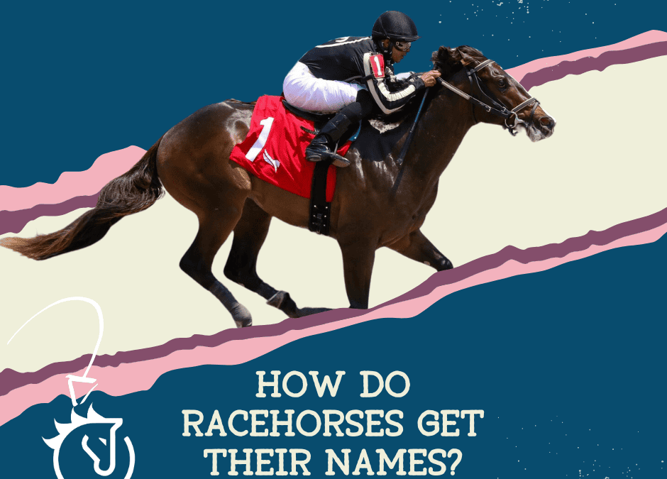 Why is clever racehorse naming so important? Discover how the right name can boost your horses profile.