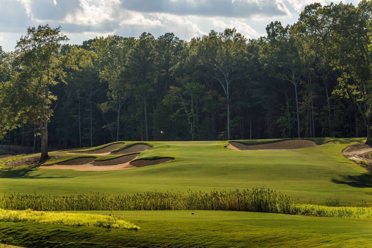 Want to play Mossy Oaks Golf Course? (Learn all about its beautiful fairways and greens here)