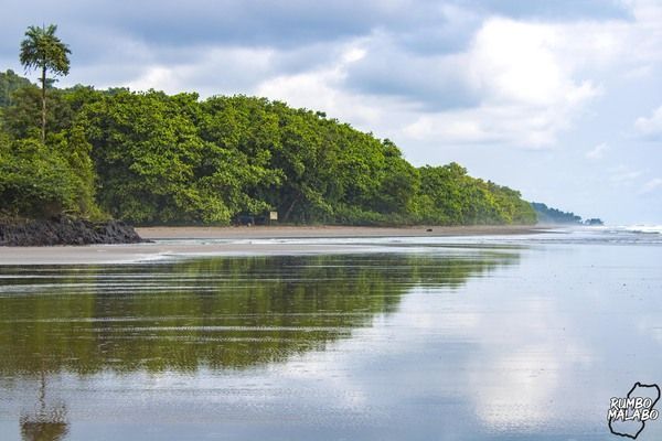 Find the best equatorial guinea video here! We show you clips of beautiful beaches and wildlife.