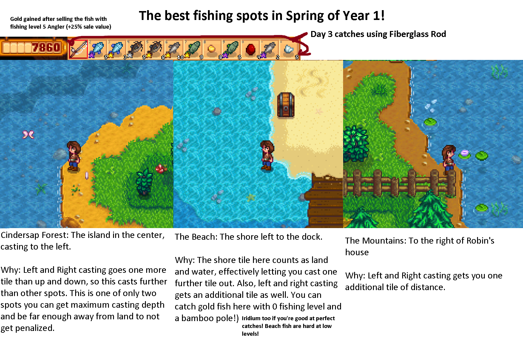 Where are the very best stardew fishing spots? (Find these secret locations for those rare catches)