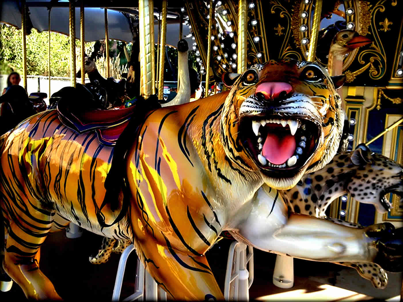 Exploring the ride the tiger meaning? Heres how it advises you to face your challenges.