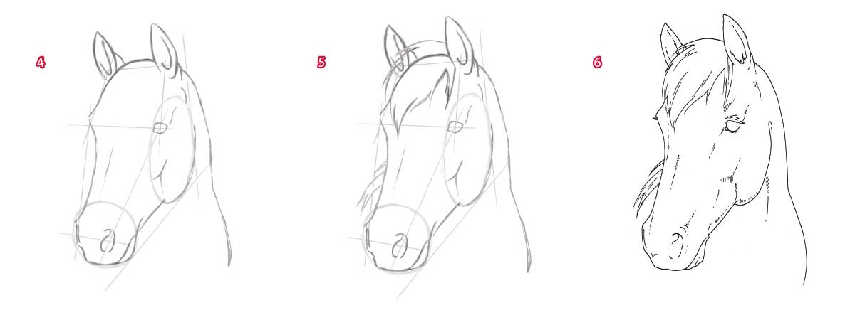 How to Draw a Horse Head Step by Step: Master the Basic Outline First