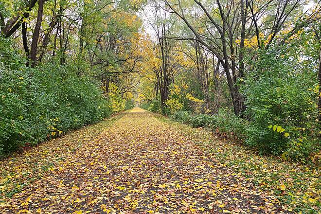 Whats Vento Trail? (Go Explore!)
