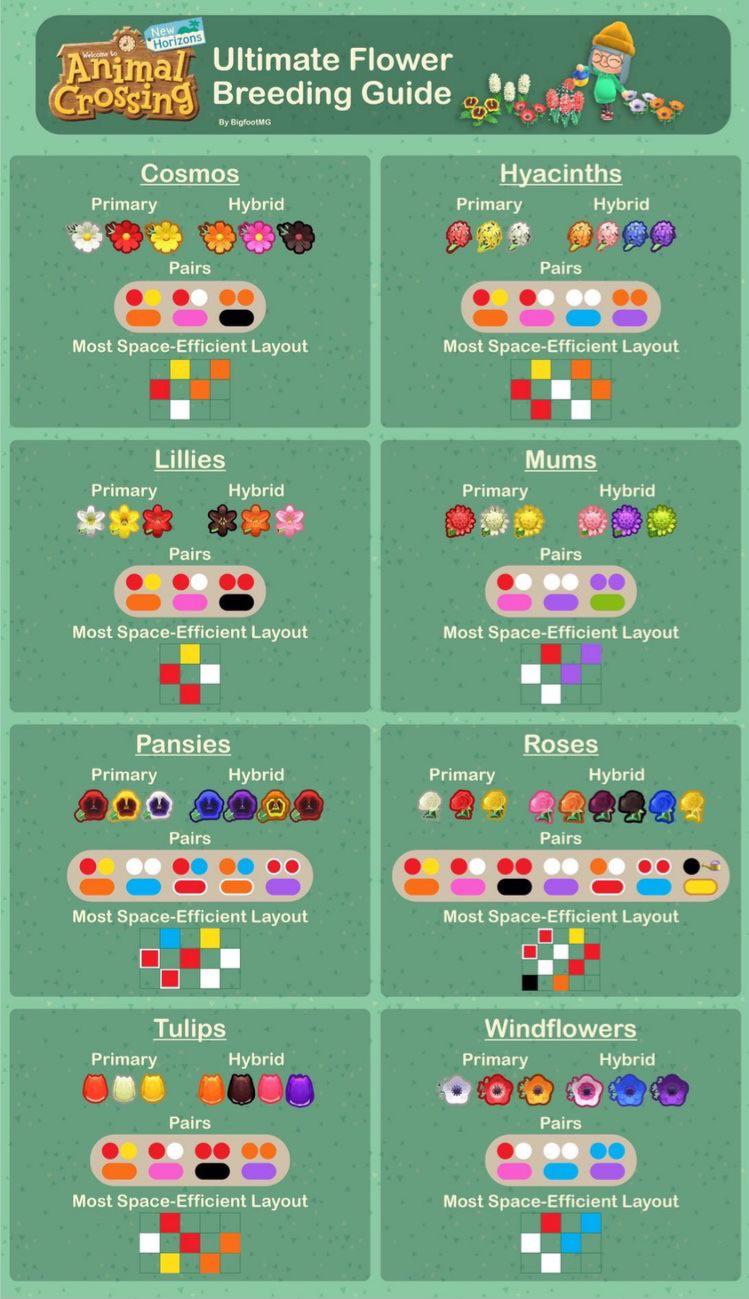Animal crossing flower breeding: How do I start? (Easy steps for beginners to grow rare hybrid flowers)