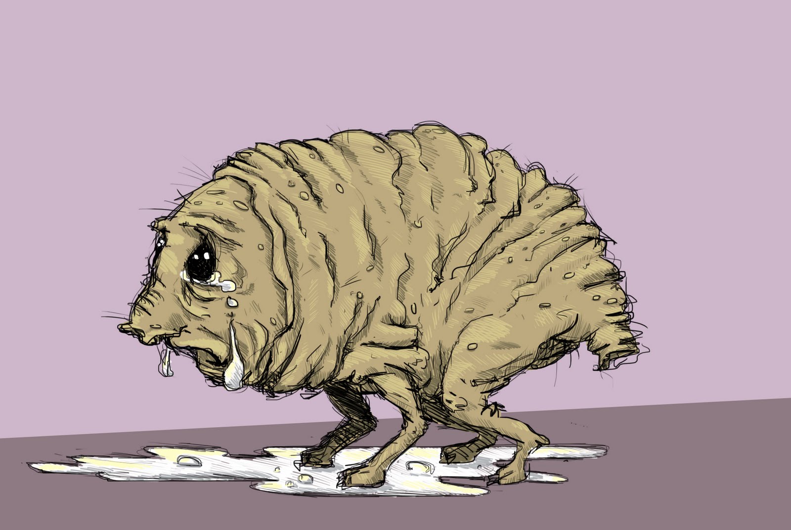 Confused about choosing a Skwonk? This simple skwonk guide will help you decide quickly!