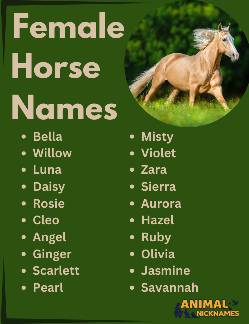 Funny female horse names list 15 hilarious options you need