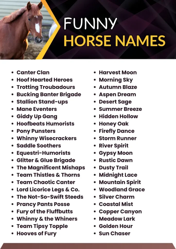 Funny female horse names list 15 hilarious options you need