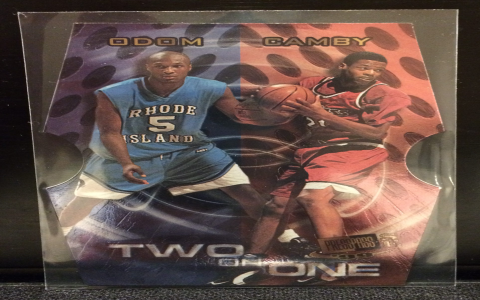 Find Marcus Camby College Career Highlights & Stats Now