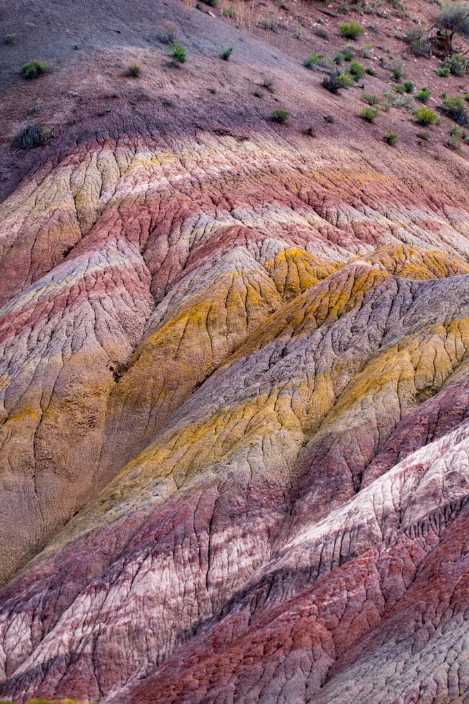 Painted Mountain Arizona How to Visit? Top 5 Essential Tips Revealed