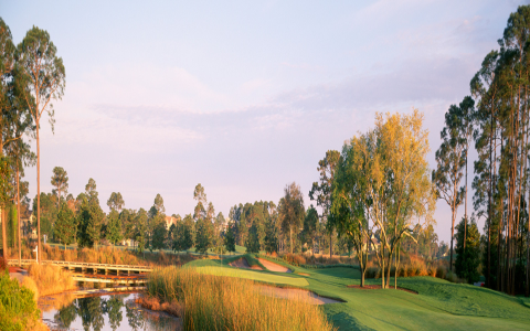 Best Raven Golf Destin FL Experience? Discover 3 Must-Know Tricks Today!