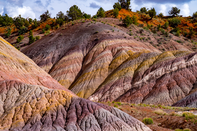 Painted Mountain Arizona How to Visit? Top 5 Essential Tips Revealed