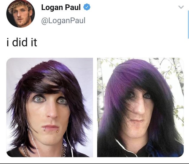 emo logan paul meaning revealed top things you should know