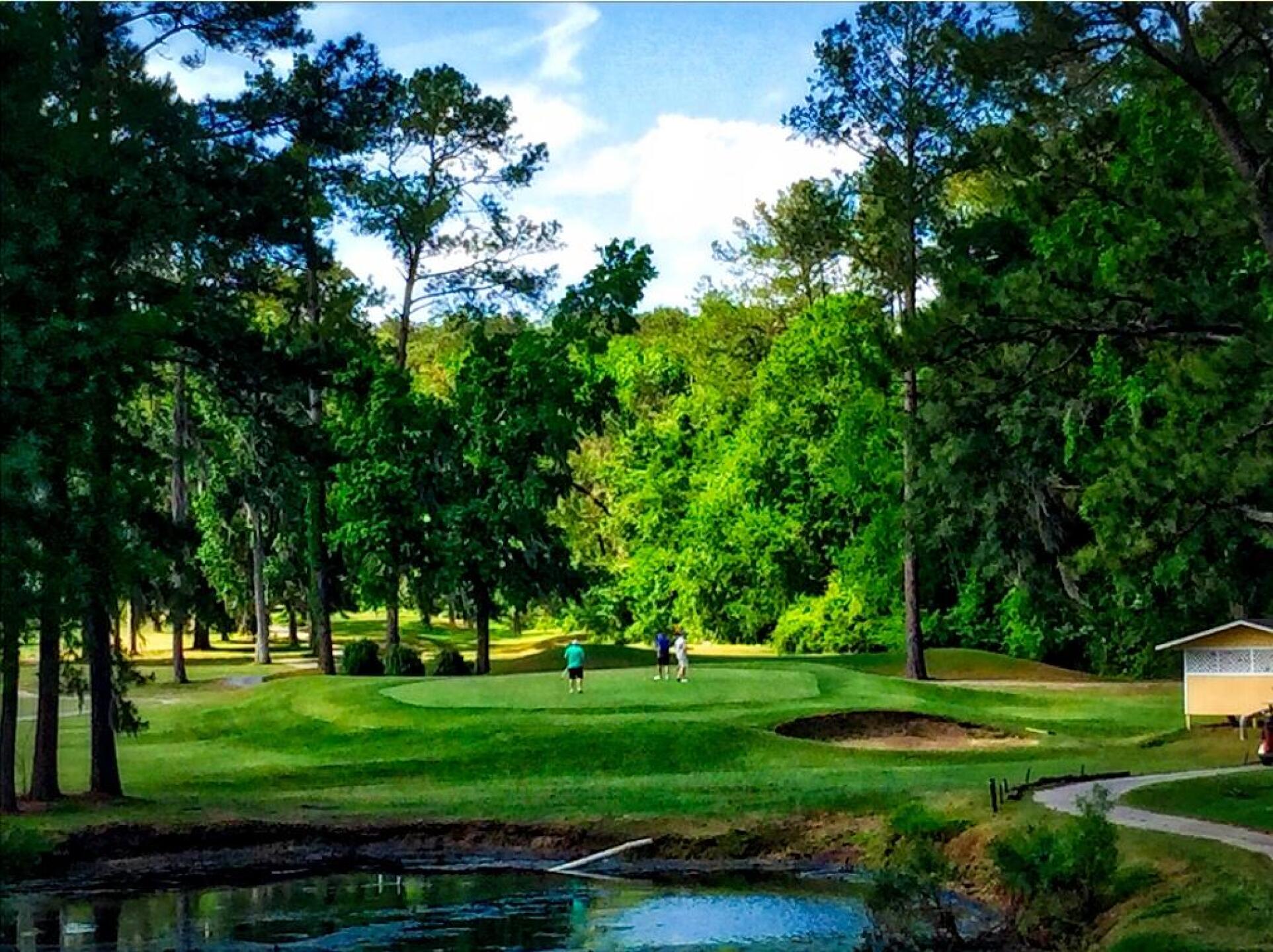 Top Features at Meadowbrook Gainesville Golf Course Every Golfer Should See