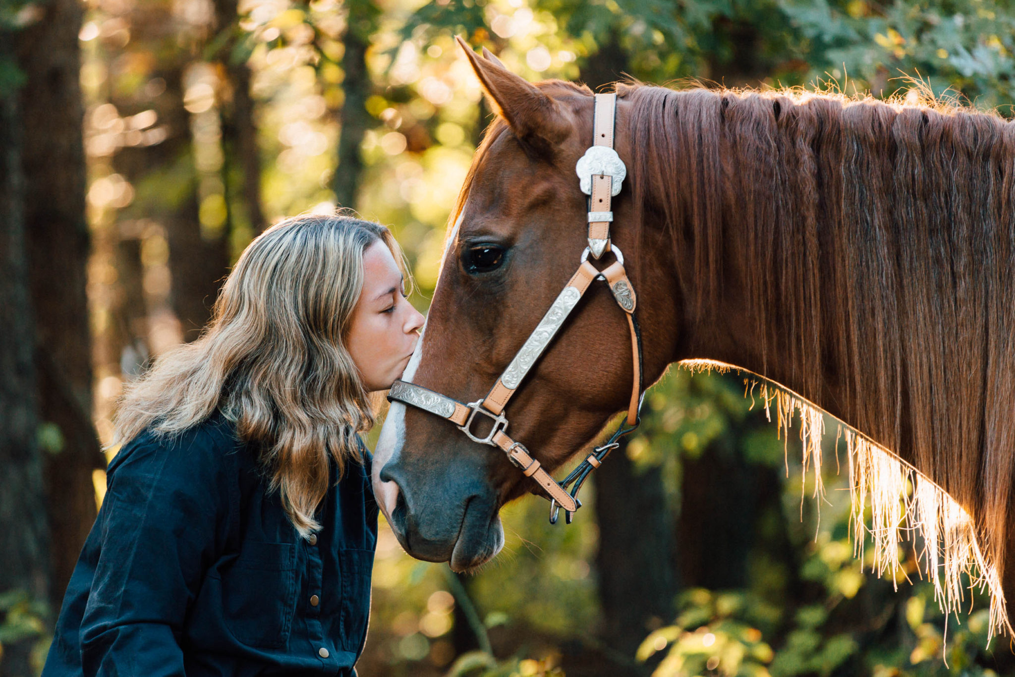 Best Horse Front Profile Photography Tips Professionals Actually Use