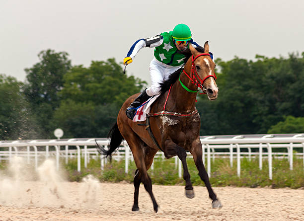 Find Safe Free Race Horse Clip Art Online Trusted Resource List