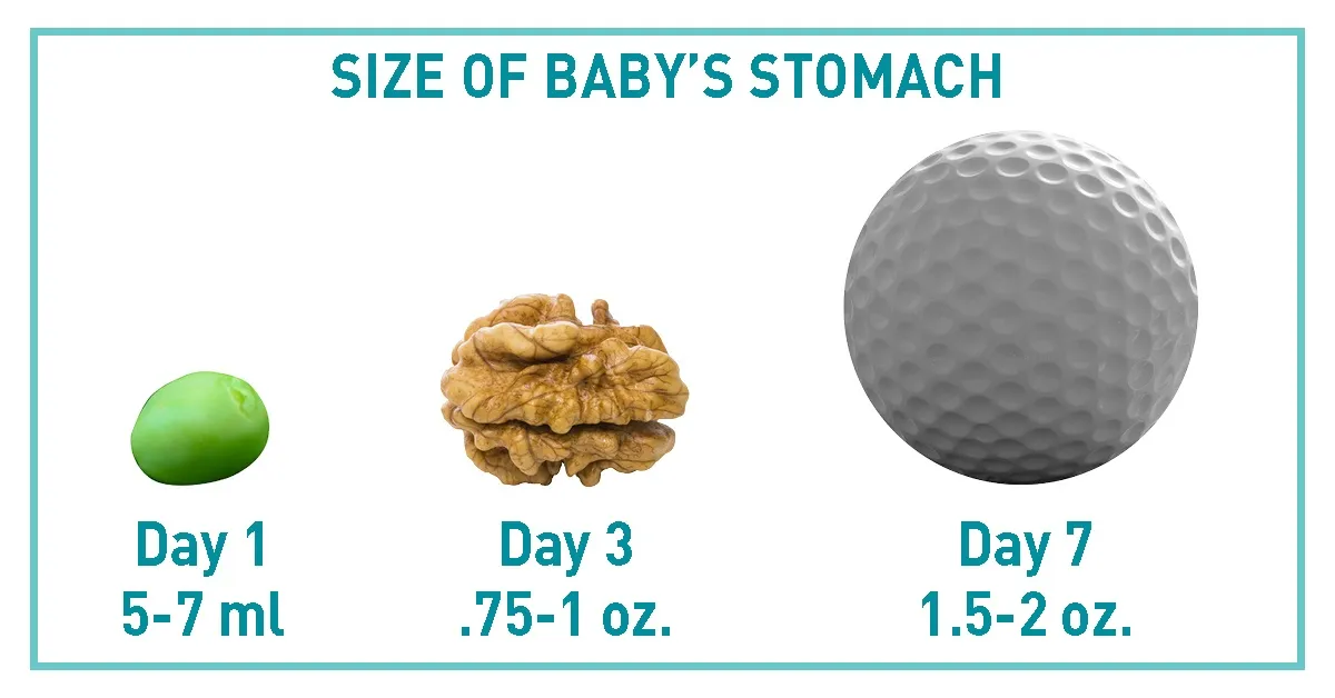 How Many Golf Balls in Your Stomach? Learn How to Estimate It