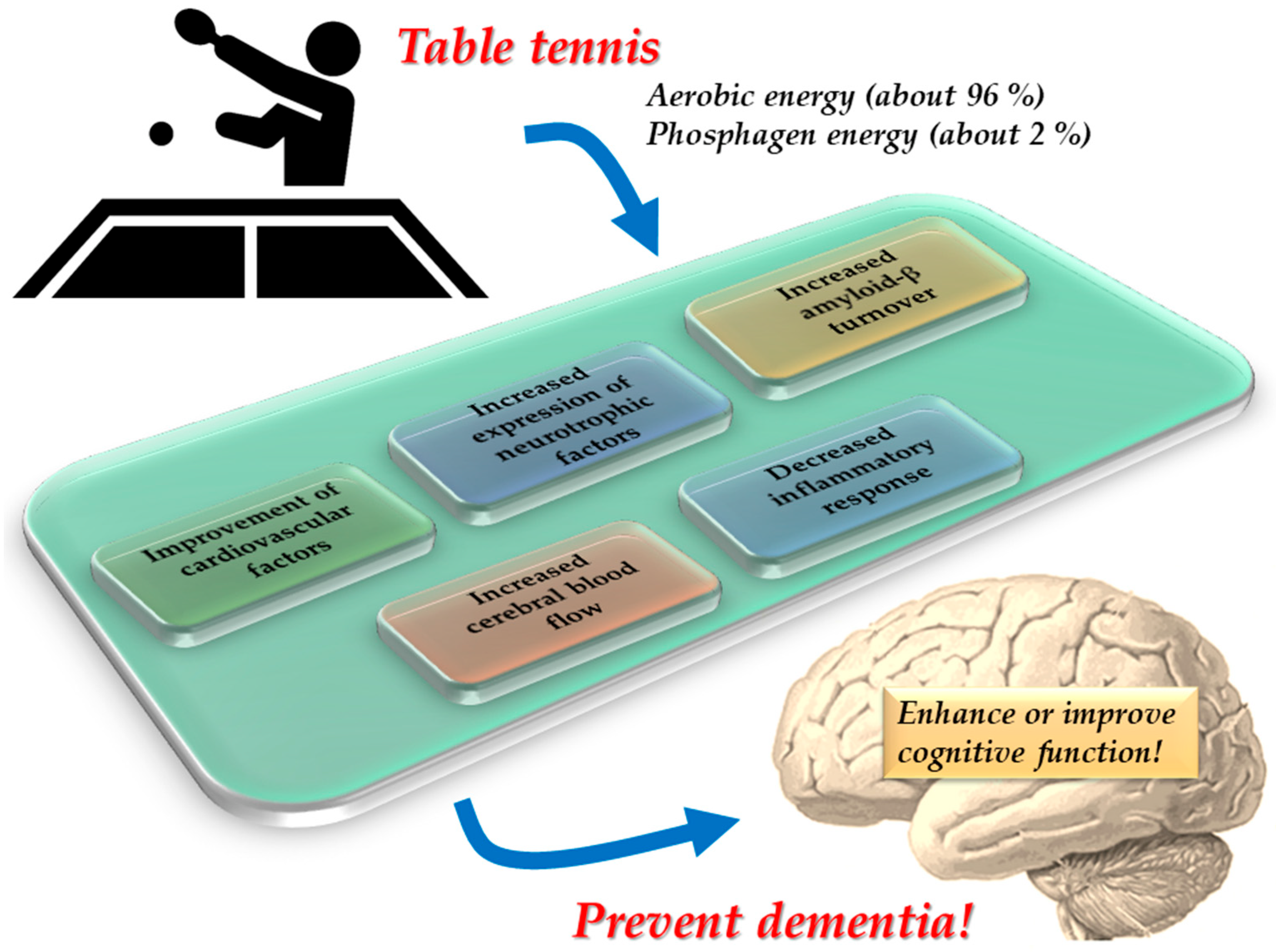 Benefits of playing French table tennis: Health Perks and Fun Strategies